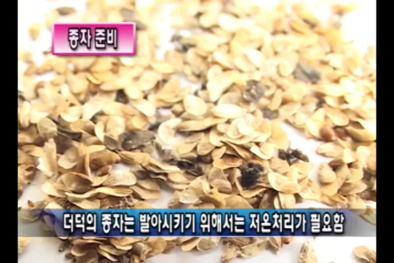 파종방법
