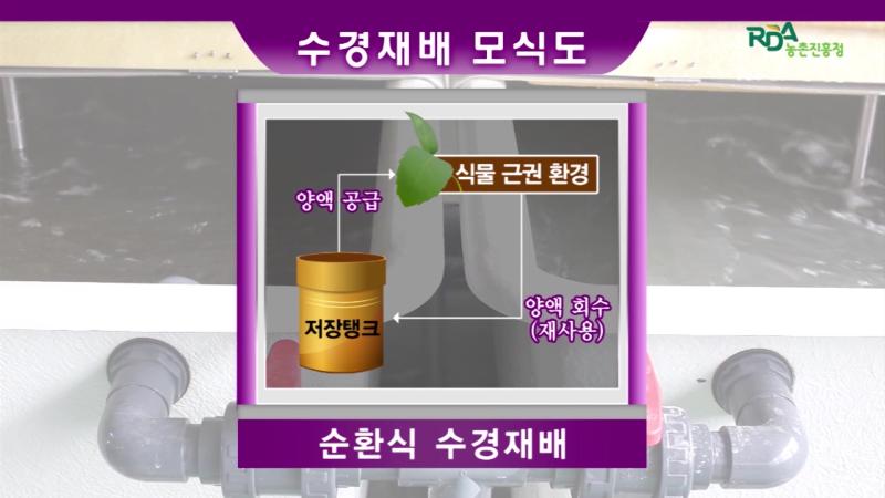 배양액 관리요령-다_비순환식 및 순환식 수경재배_인터뷰_유의점