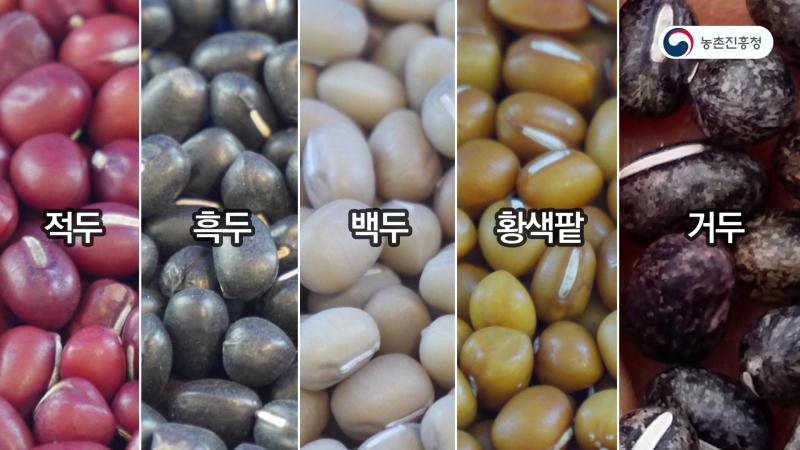 팥의 다양한 용도 소개