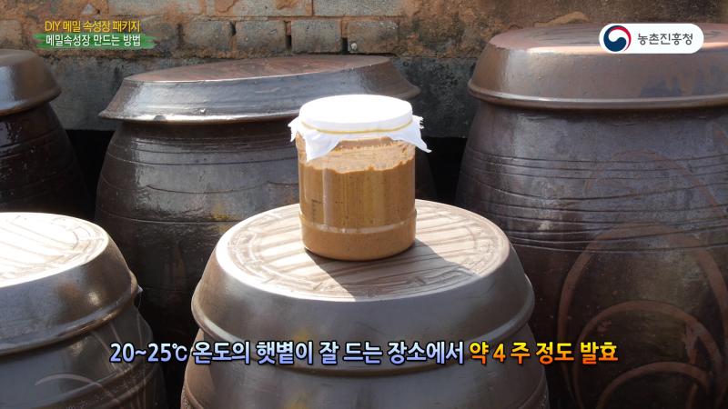 DIY 메밀속성장 만들기