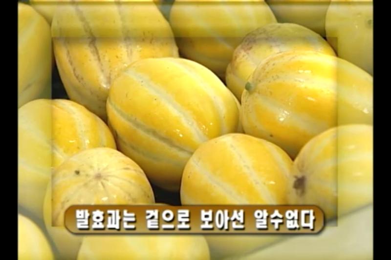 발효과 골라내기_인터뷰