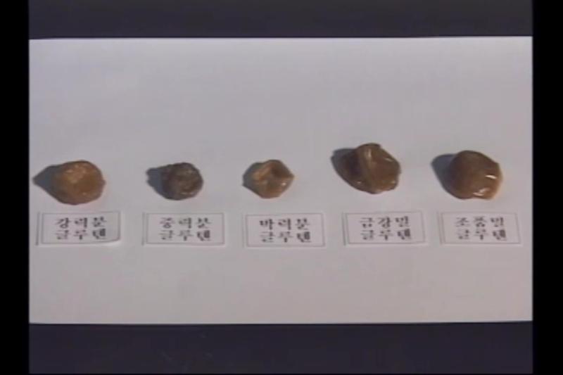 밀가루의 종류와 이용특성_밀가루의 부질함량에 따른 분류