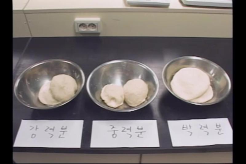 중력분의 특성_박력분의 특성