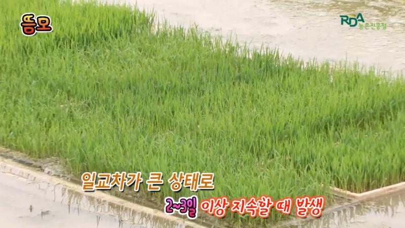 뜸모