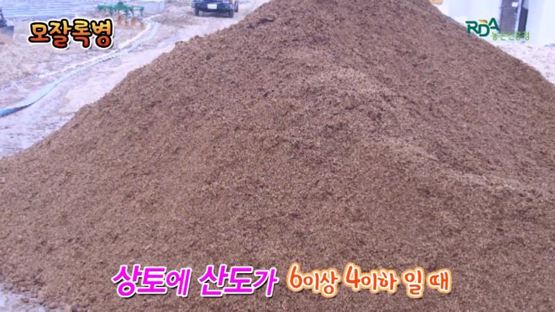 모잘록 병