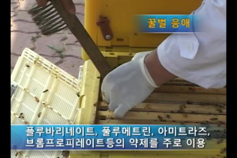 병해충 방제_인터뷰