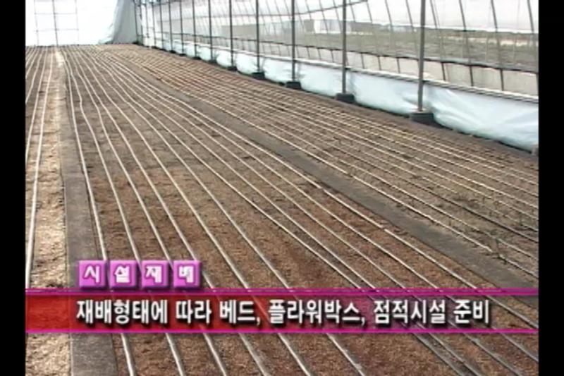 시설 재배