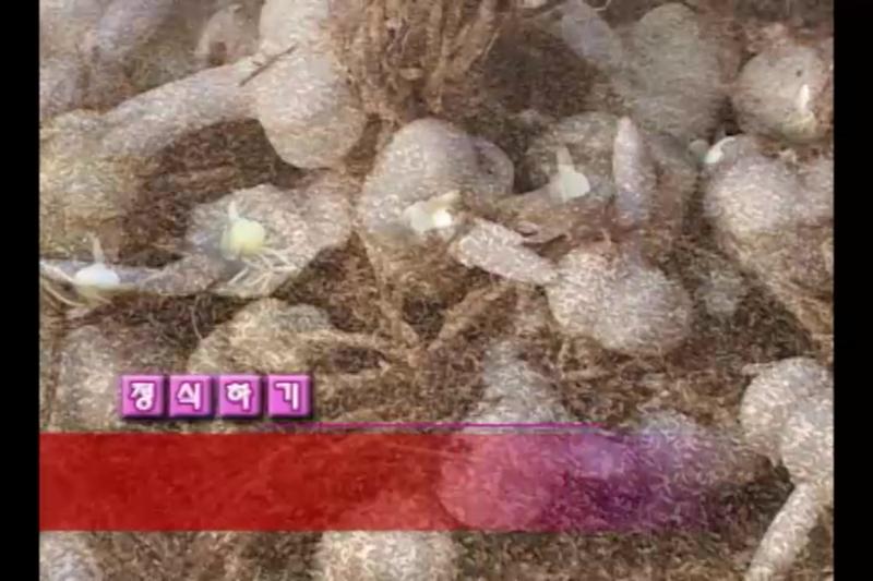 포장설계