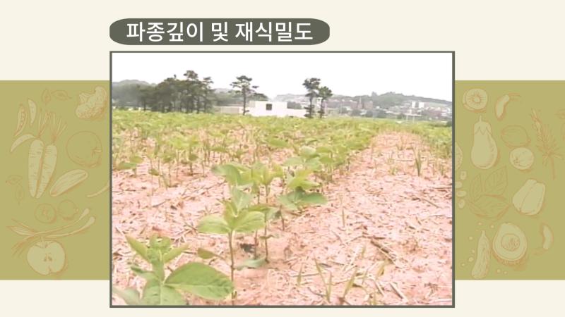 파종깊이 및 재식밀도