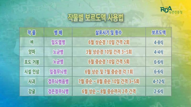 보르도액 사용 방법
