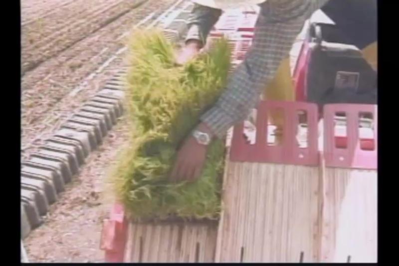 개요