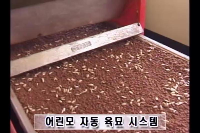 녹화_자동육묘시스템 이용_온도