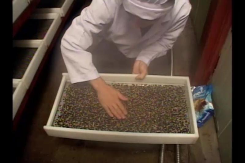 새싹채소의 장점