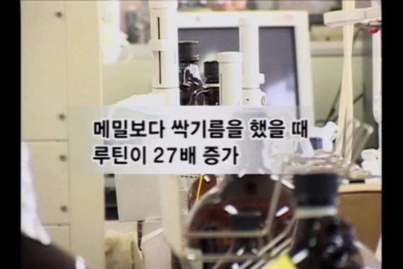 새싹채소의 효과_인터뷰