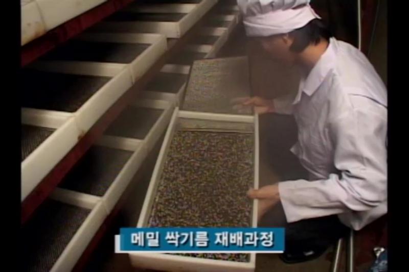 싹 기르기_주의할 점