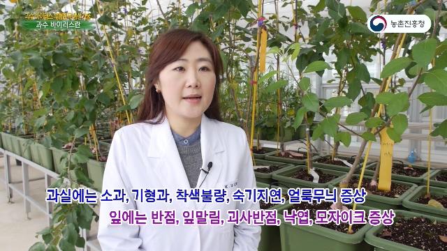 개요_과수 바이러스란