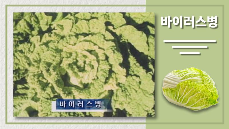바이러스병