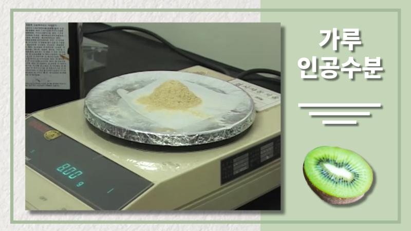 가루 인공수분