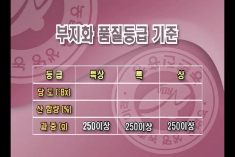 부지화 과실의 등급