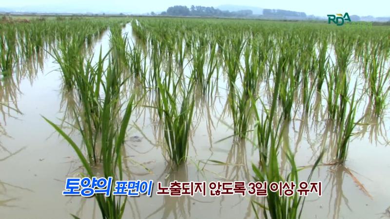 주의사항