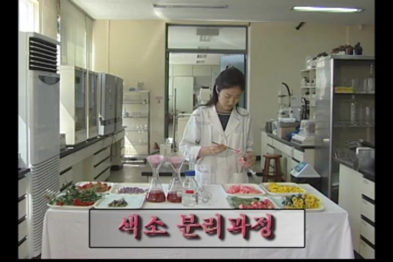 식용꽃의 종류별 성분함량