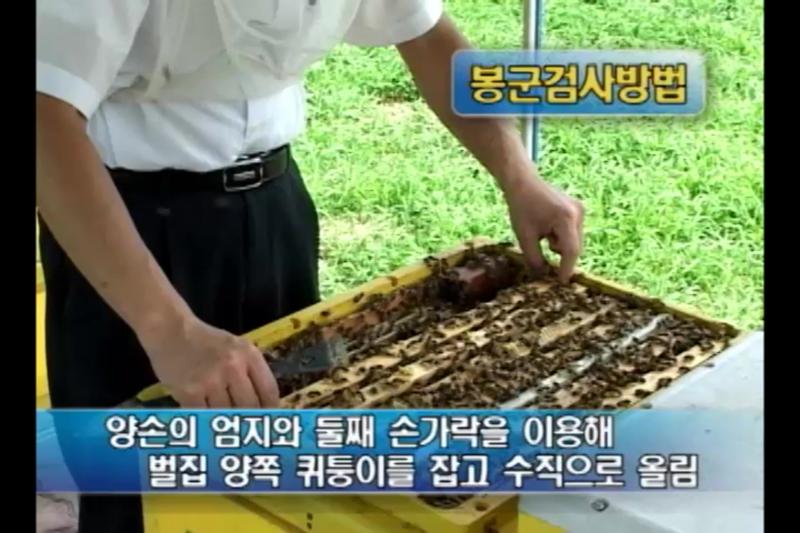 계절별 봉군 관리_월동 후 이른 봄철 관리