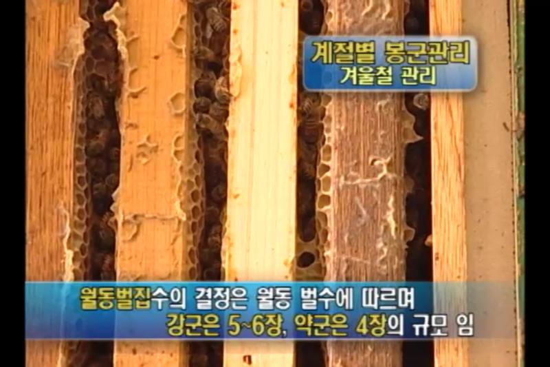 겨울철 관리
