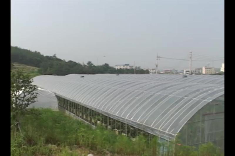 하우스 용기 재배 기본 기술