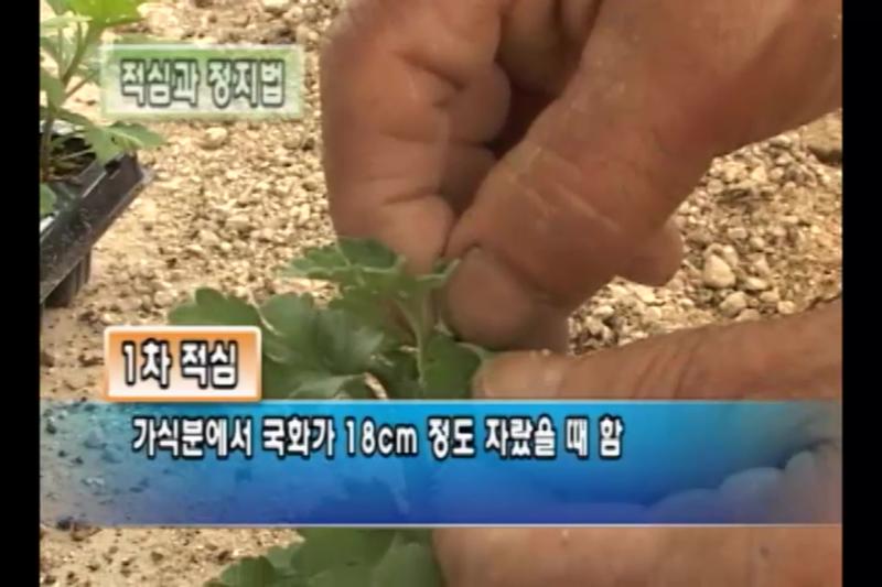 적심과 정지법