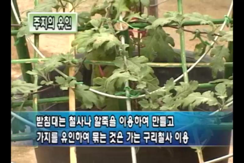 주지의 유인_마무리