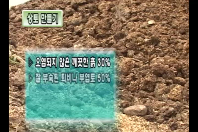 상토만들기