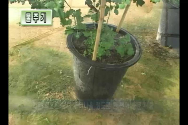 기타관리