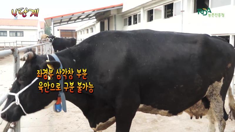 단계-단계_인터뷰 단계구분