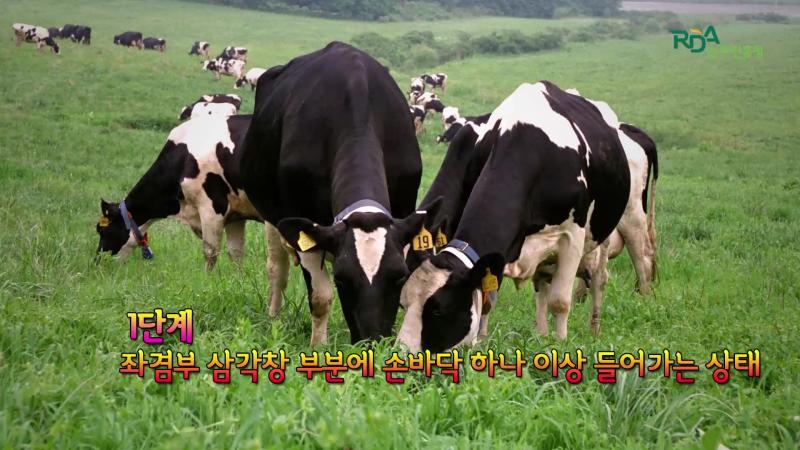 단계 -단계