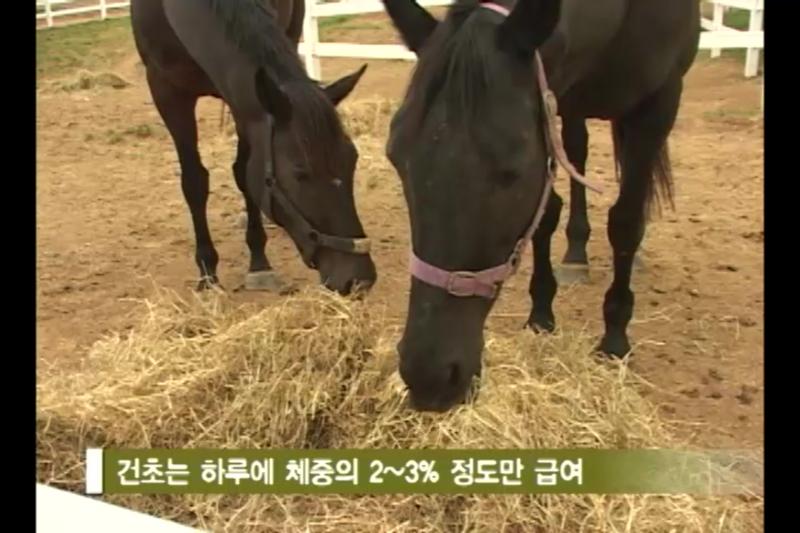 공급_효과