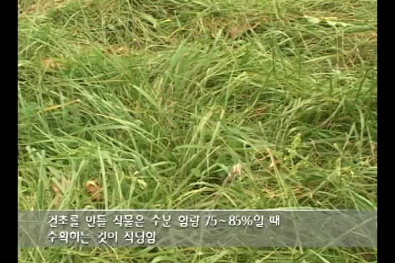 생초 상태의 작물