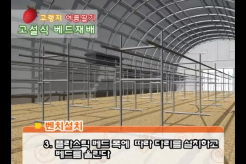 베드재배 과정