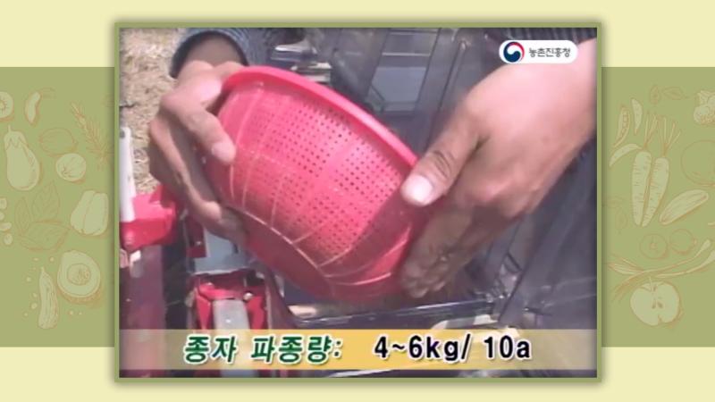 건답직파 효과 및 유의사항