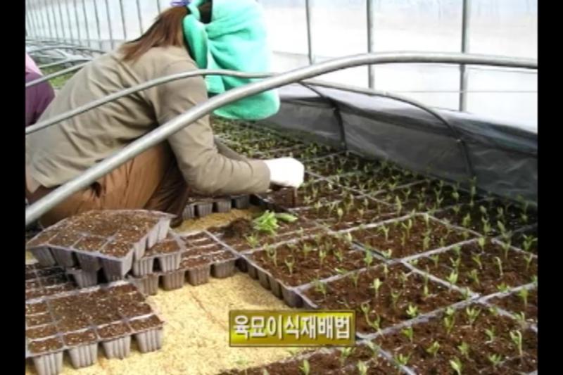 재배기술_파종_직파재배