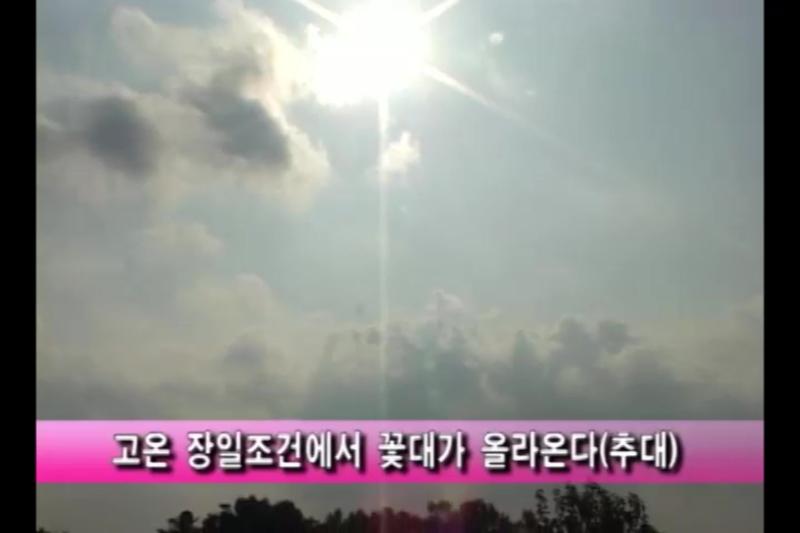 여름재배