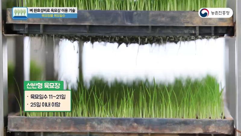 육묘장별 육묘일수