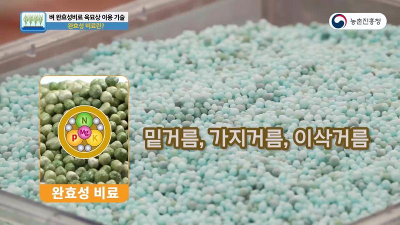 완효성 비료란