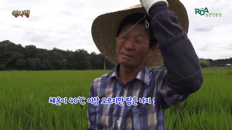 폭염 피해 증상-열사병_대처방법