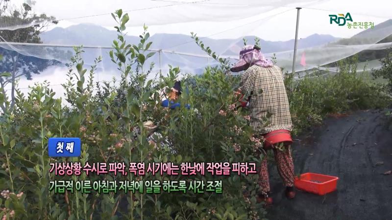폭염 피해 예방 요령_가