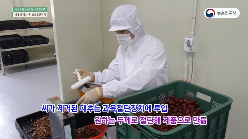 대추씨 제거 및 과육절단장치