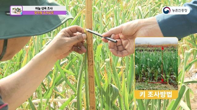 생육조사 항목별 조사요령