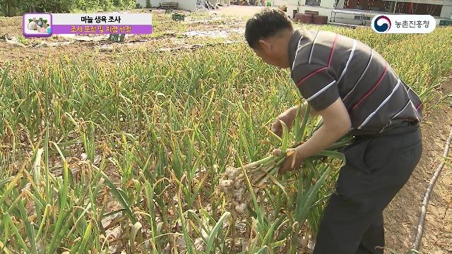 생육조사 포장 및 조사지점 선정