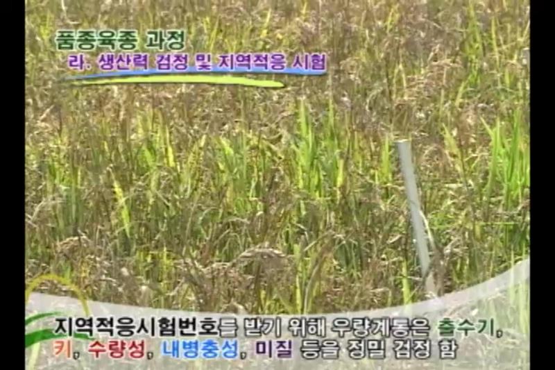 생산력 검정 및 지역적응 시험