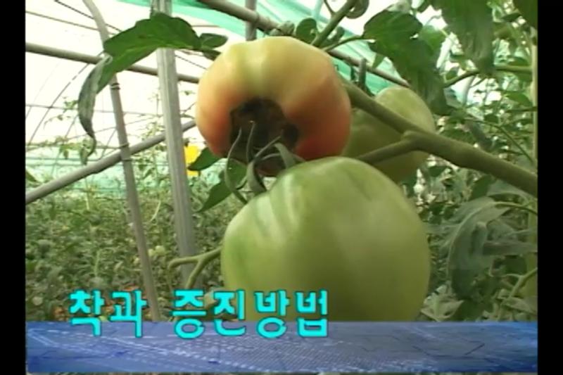 착과 증진 방법
