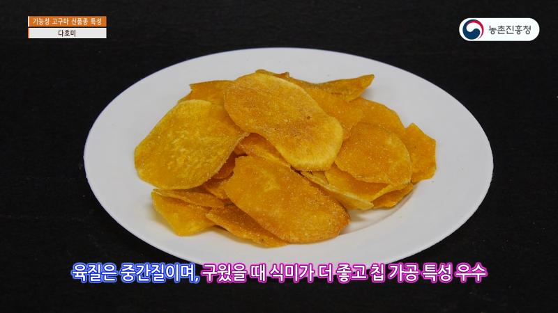 다호미